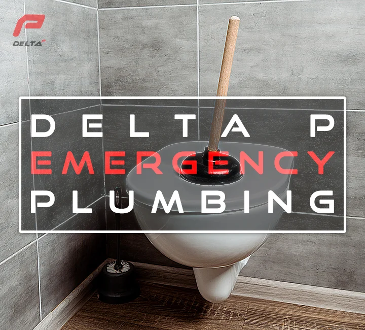 image of bathroom for delta web page on emergency toilet clog repair