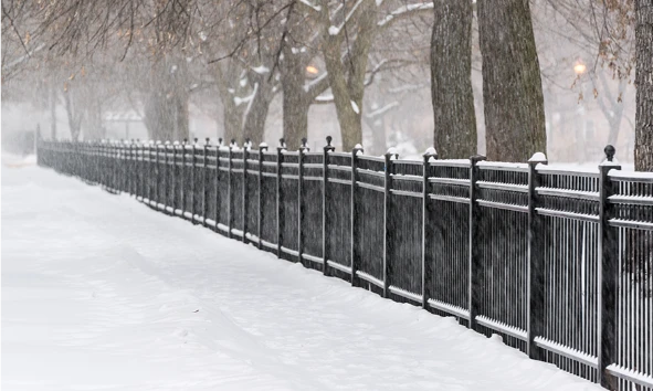 snow filled pathway with trees and hand railing